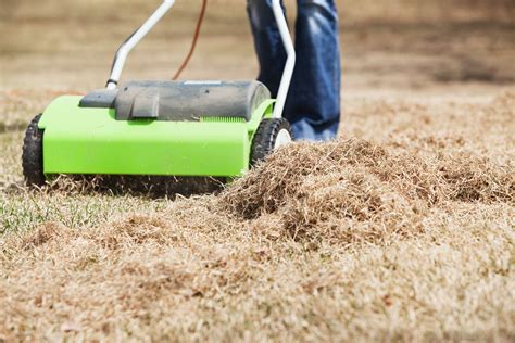 When to dethatch lawn. Things To Know About When to dethatch lawn. 